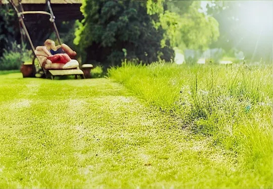Professional Lawn Mowing Services