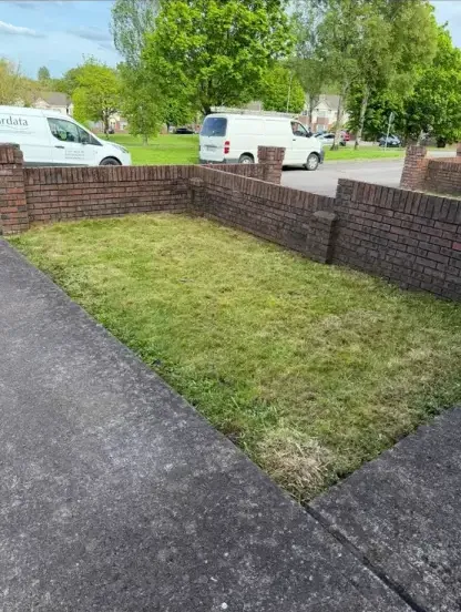 Front lawn clearance and garden maintenance service in Cork
