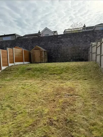 Fresh roll turf grass sod laying for a new backyard lawn