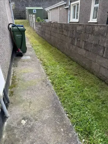 Professional side yard pathway cleanup and garden maintenance service